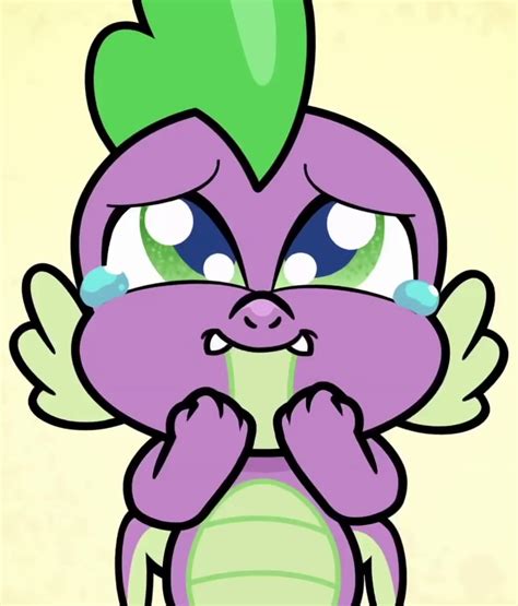 Spike, also known as Spike the Dragon, is a male "pre-teen" dragon and one of the seven main characters of My Little Pony Friendship is Magic. He is Twilight Sparkle's best friend and number one assistant. . Spike from my little pony