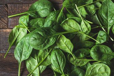 Spinach and Calcium Absorption livestrong