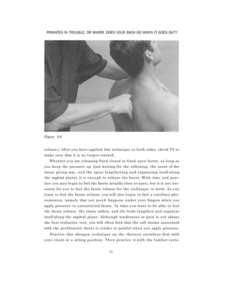 Spinal manipulation made simple a manual of soft tissue techniques. - Ampliación del pev 2 para 1992-93..