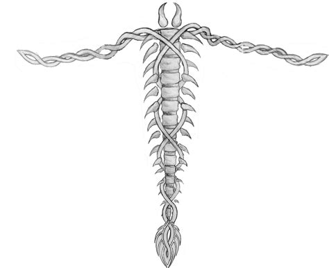 Spine Tattoo by jsoulcrow on DeviantArt