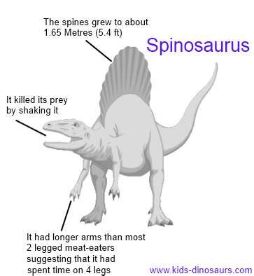 Spino Name Meaning & Spino Family History at Ancestry.com®