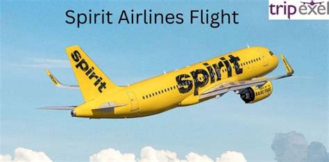  Spirit Airlines is the leading Ultra Low Cost Carrier in the United States, the Caribbean and Latin America. Spirit Airlines fly to 60+ destinations with 500+ daily flights with Ultra Low Fare. Flight Status . 