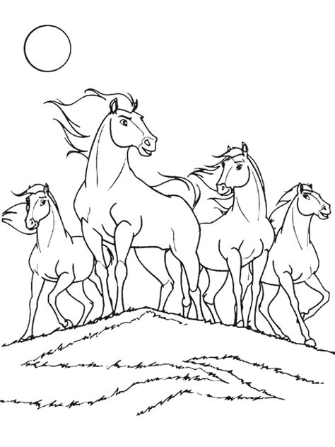 Spirit Coloring Book