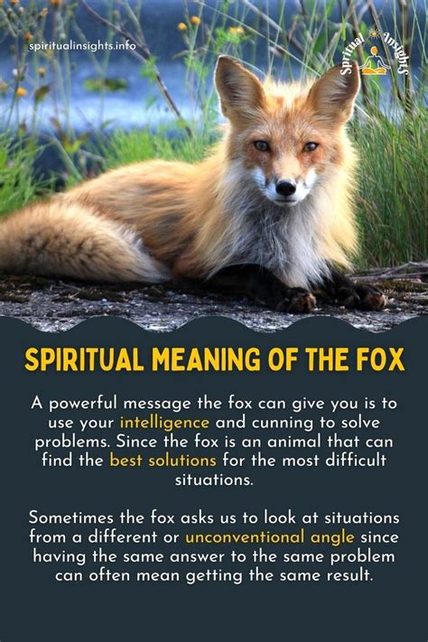 Spirit Guide Fox Meaning