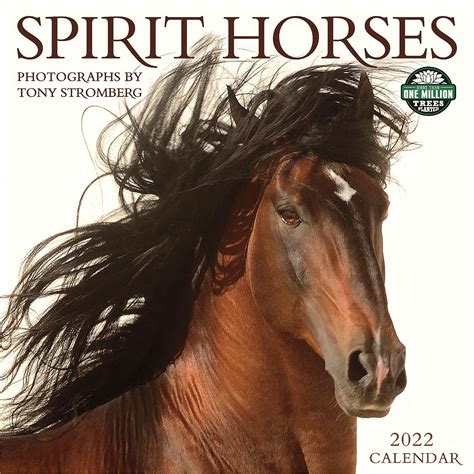 Full Download Spirit Horses 2020 Wall Calendar Photography By Tony Stromberg By Tony Stromberg