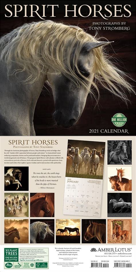 Read Online Spirit Horses 2021 Wall Calendar By Tony Stromberg