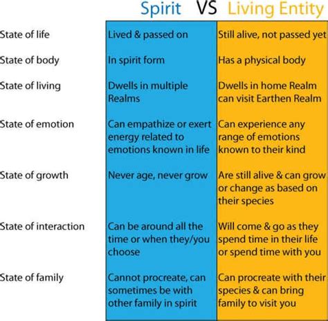 Spirits VS Entities - Spirited Enterprise