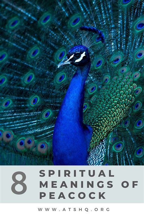 Spiritual Meaning Of A Peacock