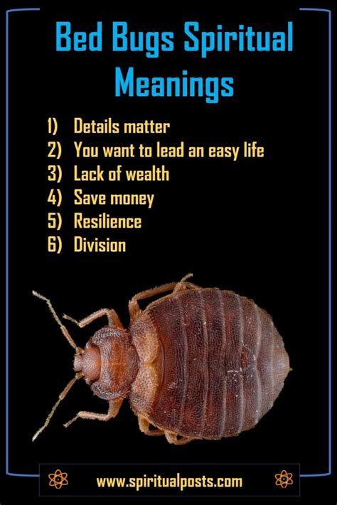 Spiritual meaning bed bugs. Aug 9, 2023 · The spiritual meaning of bed bugs in dreams often symbolizes negative emotions, irritations, or unwanted situations that are lingering in your life. ... 