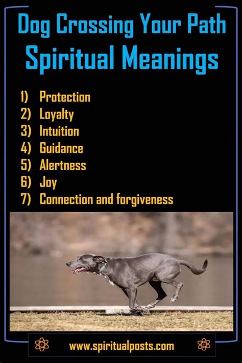 Spiritual meaning of a dog crossing your path. The Spiritual Meaning of a Dog Crossing Your Path. In many spiritual traditions, dogs are considered to be a symbol of protection, loyalty, and guidance. Dogs have been used as spiritual guides and … 
