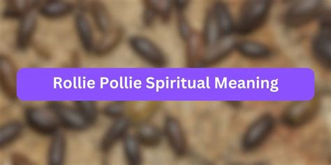 Spiritual meaning of rollie pollie. Roly-poly definition: . See examples of ROLY-POLY used in a sentence. 