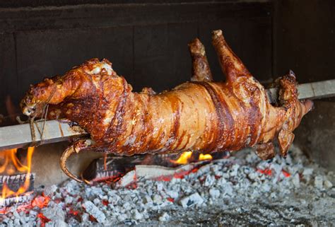 Spitrost. Spit-roast definition: The way of roasting an animal, such as a pig, over a fire. To do so the cook sticks a wooden/metal rod through the animal and sets it on two sticks on the other sides so the animal is over the fire. 