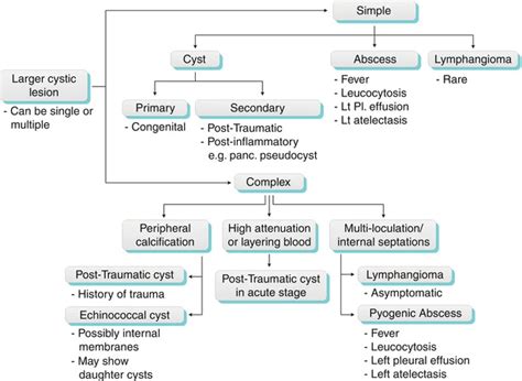 Spleen: Differential Diagnosis Radiology Key