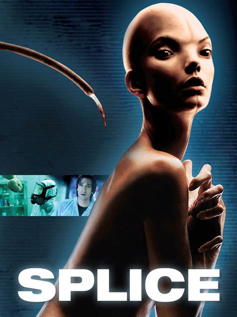 codini.rgarabwor.edu.pl. 