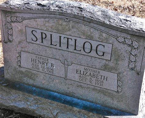 Splitlog. Things To Know About Splitlog. 