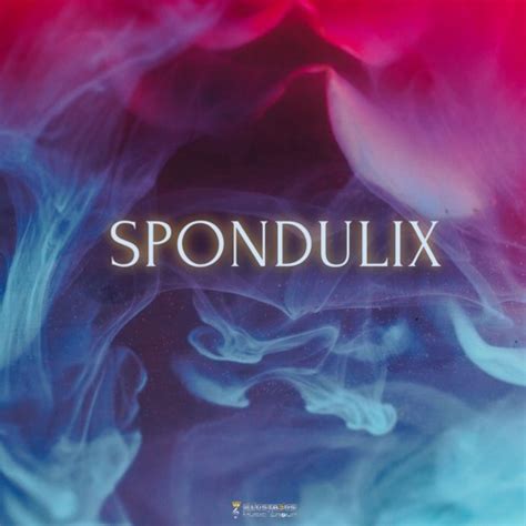 Spondulix Definition & Meaning - Merriam-Webster