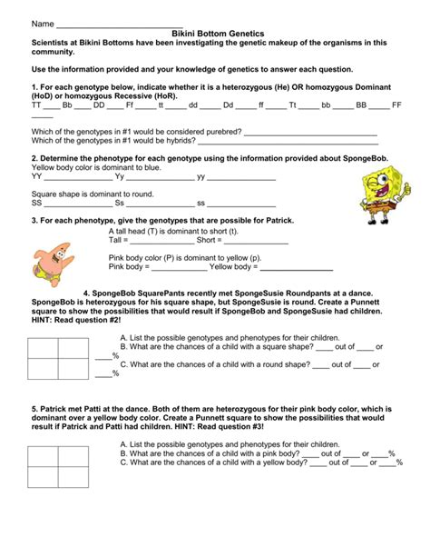 Spongebob Square Worksheet Answer Key