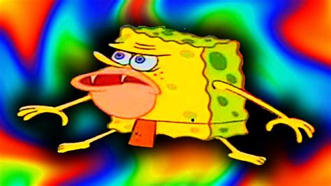 Spongebob memes wallpaper. Things To Know About Spongebob memes wallpaper. 