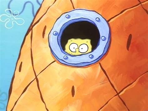 Spongebob staring meme. A square yellow sponge named SpongeBob SquarePants lives in a pineapple with his pet snail, Gary, in the city of Bikini Bottom on the floor of the Pacific Oc... 