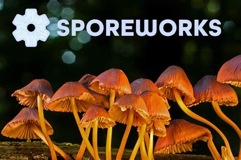Get 35 sporeworks Coupon at CouponBirds. Click to enjoy t
