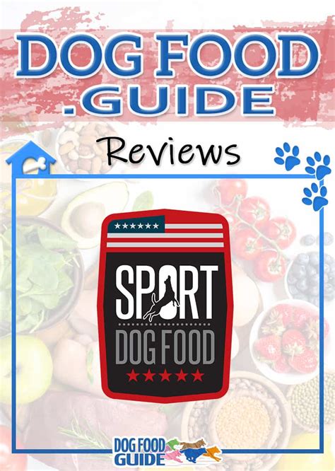 Sport Dog Food Reviews 2024: Best Suited for Active Dogs?