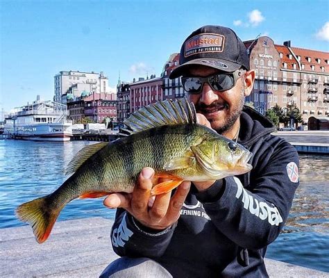 Sportfiskegiganten Malmö - Facebook