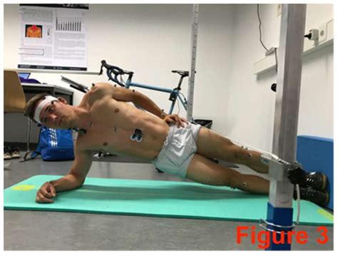 Sports Free Full-Text The Influence of Fatigued Core Muscles on …