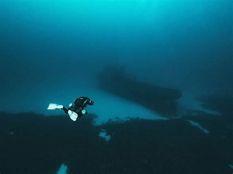 Sports divers guide to sunken treasure. - Manuale di modello 91232 di briggs e stratton.