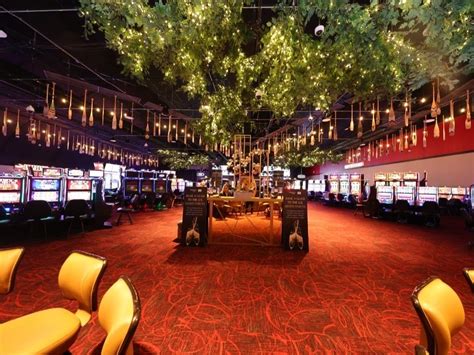 Sportsbook opens at Waukegan’s temporary casino; ‘It’s something our guests have wanted’