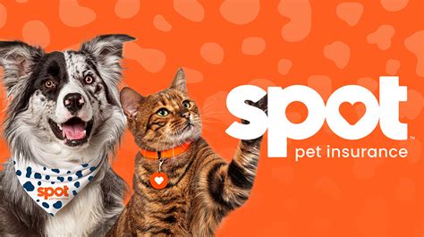 Spot pet insurance reviews reddit. .  ...