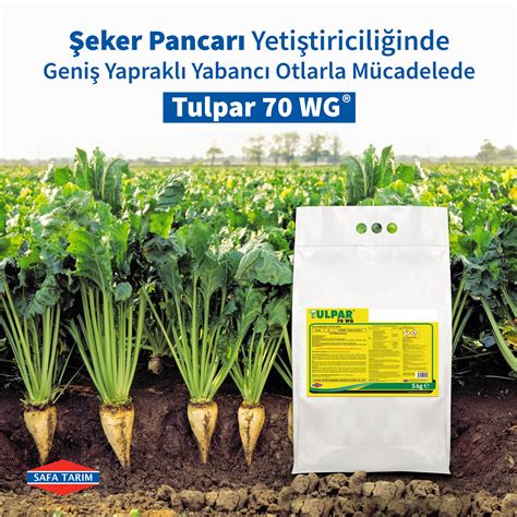 Spotlight Safa Tarim Fungizide.