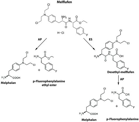 Spotlight on Melphalan Flufenamide for Treating Myeloma