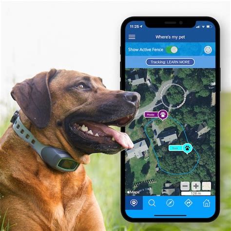 Spoton dog fence. The GPS Dog Fence that's as accurate and flexible as your dog is curious. Create fences from ½ acre to 1K+ acres at home, on the go, or if you move. SpotOn’s patented True Location™ technology taps into a network of 128 satellites to provide boundary accuracy comparable to a buried wire fence. 