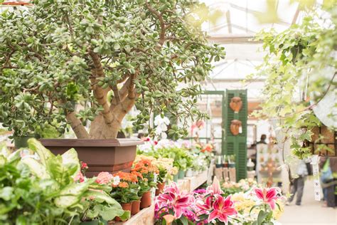 Sprague's nursery & garden center photos. Sprague's Nursery & Garden Center, Bangor, Maine. 3,329 likes · 2 talking about this · 825 were here. Sprague's Commitment to Excellence: The most important thing we grow is our relationship with our cus 