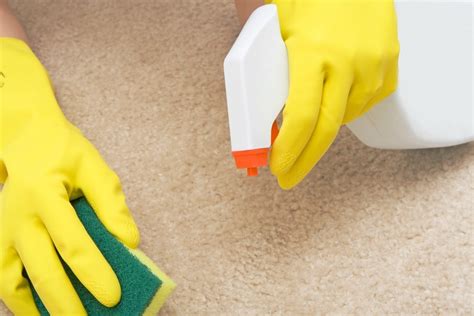 Spray and Wash for Carpet Stains ThriftyFun