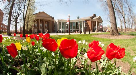 Spring 2023 Preview IUP Now IUP