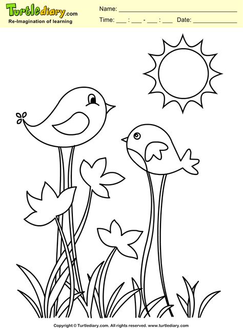 Spring Bird Coloring Sheet Turtle Diary