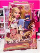 Spring Break 1st Edition