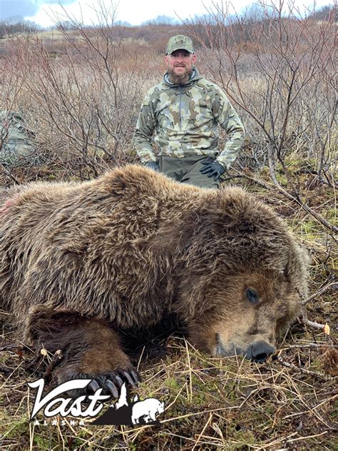 Spring Brown Bear Hunt / Alaska, United States