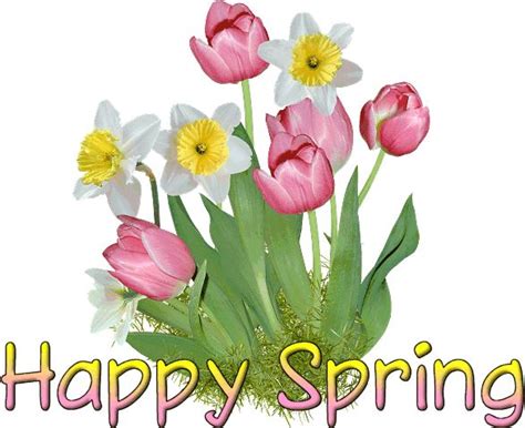 Spring Clip Art and Images - Pinterest