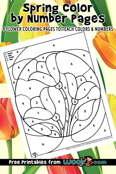 Spring Color by Number Printable Woo! Jr. Kids Activities