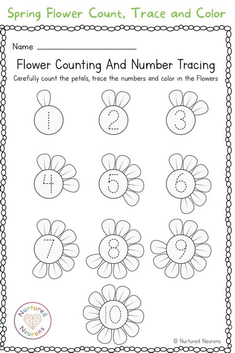 Spring Flower Counting, Tracing and Coloring Worksheet Nurtured
