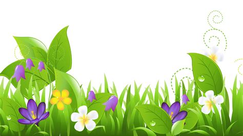Spring Flower Powerpoint Template