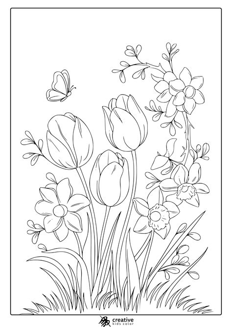 Printable Star Wars Coloring