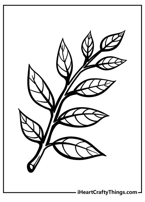 Spring Leaves Coloring Pages