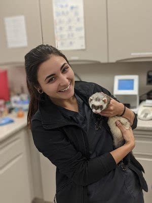 Spring Meadow Veterinary Clinic - Ashland, OH