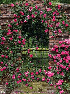 Spring Photography Backdrops - Denny Manufacturing