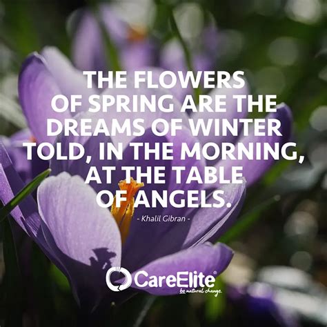 Spring Quotes: 50 Sayings About The Spring – CareElite