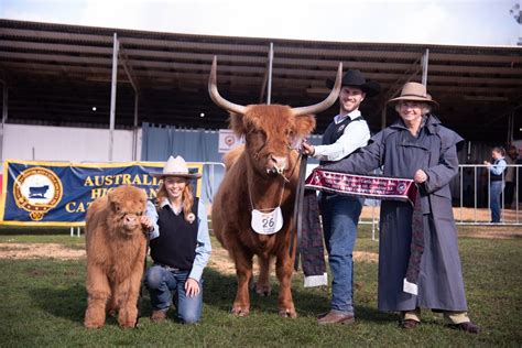 Spring Sale 2024 — Highland Cattle Society