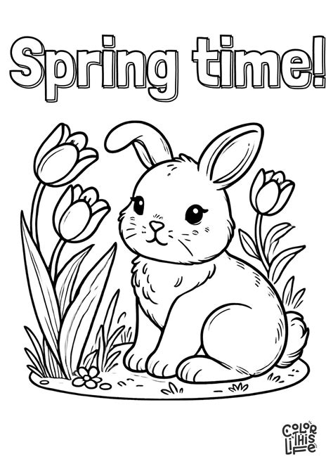 Coloring Sheets Stars